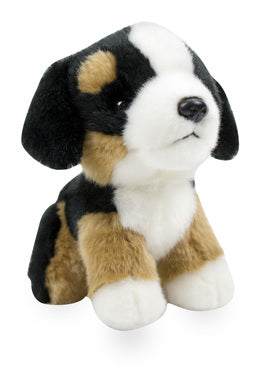 Kuscheltier Nici Sennenhund