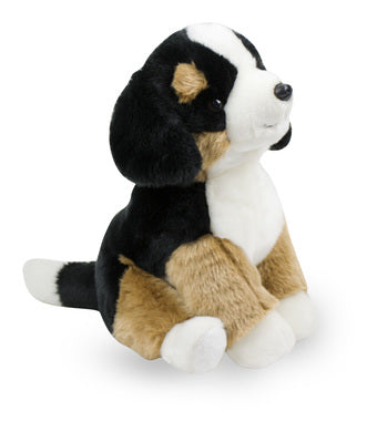 Kuscheltier Nici Sennenhund