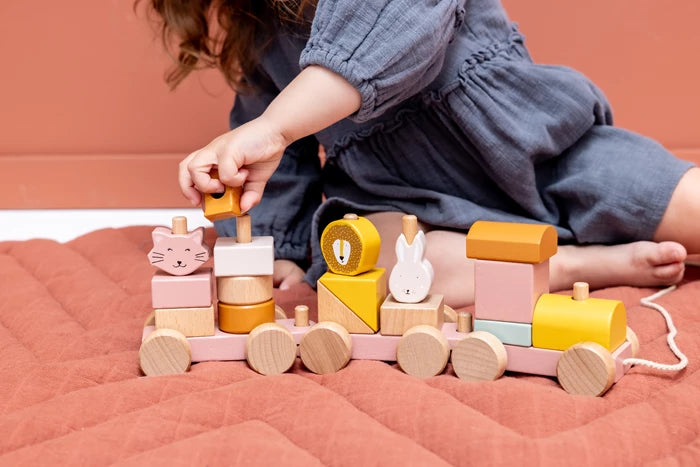 Holz Eisenbahn mit Steckformen Trixie Rosa