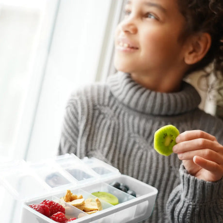 Znünibox Snackbox Melii mit 4 Fächern Blaugrau