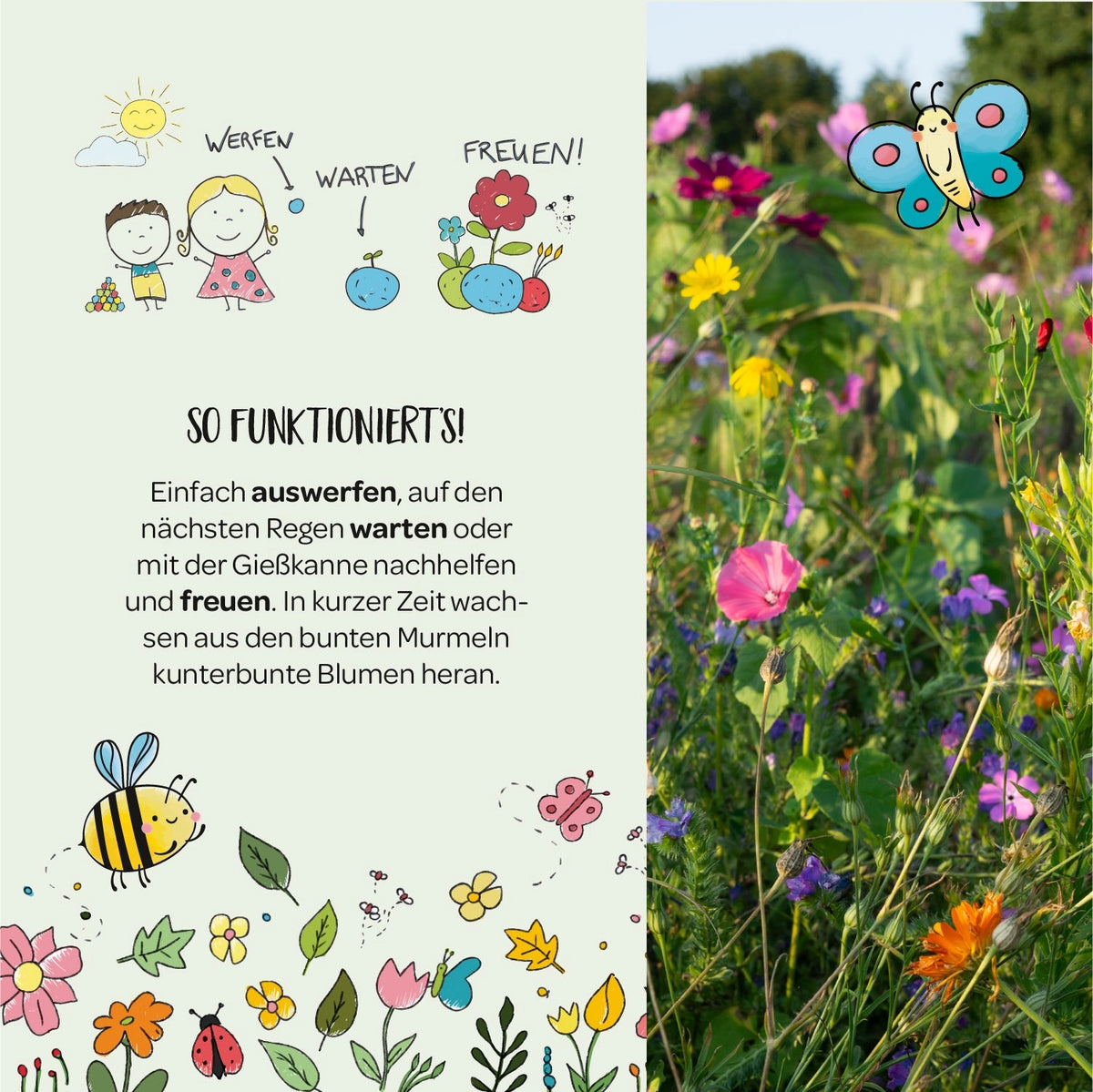 Blumenmurmel Finns Wilde Wiese
