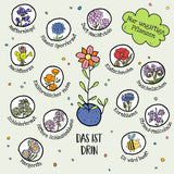 Blumenmurmel Frohe Ostern