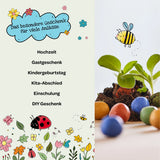 Blumenmurmel Timos Bienenschmaus