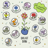 Blumenmurmel Hipp Hipp Hurra