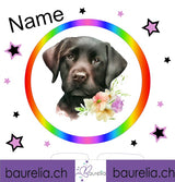 Schutzfolie Toniebox 2 Hund 2