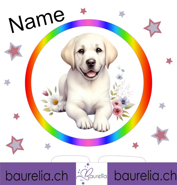 Schutzfolie Toniebox 2 Hund 3