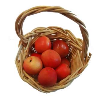 Wichtelzubehör Äpfel Rot/Gelb