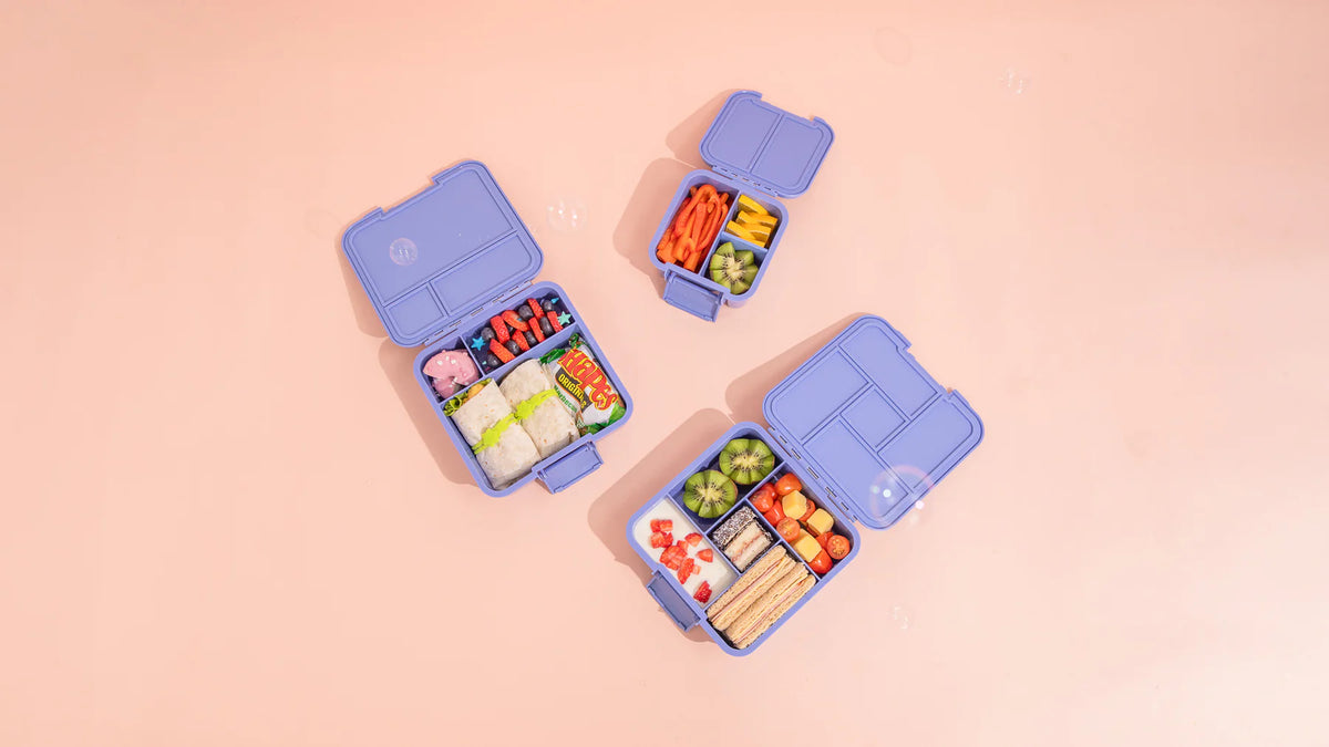 Znünibox MontiiCo Lunchbox Bento Five Splash