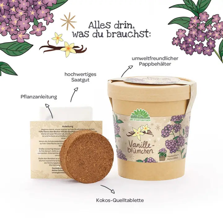 Blumenbecher - Vanilleblume