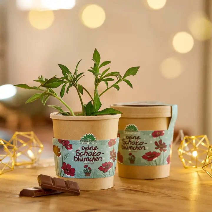 Schokoblumen aus dem Becher
