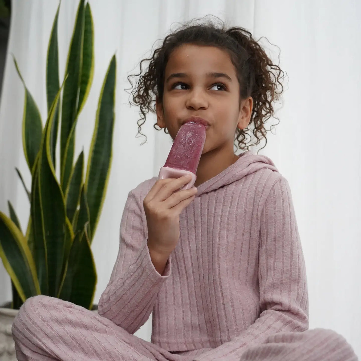 Ice Pop Glace Formen mit Schale 6er Set