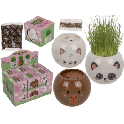 Graskopf Mini Kawaii assortiert